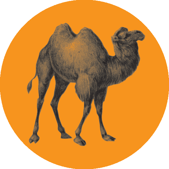 Logo-opera-algeri