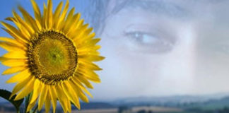 Girasole-324x160